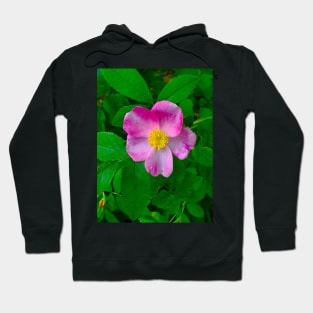 Wild Carolina Rose Hoodie